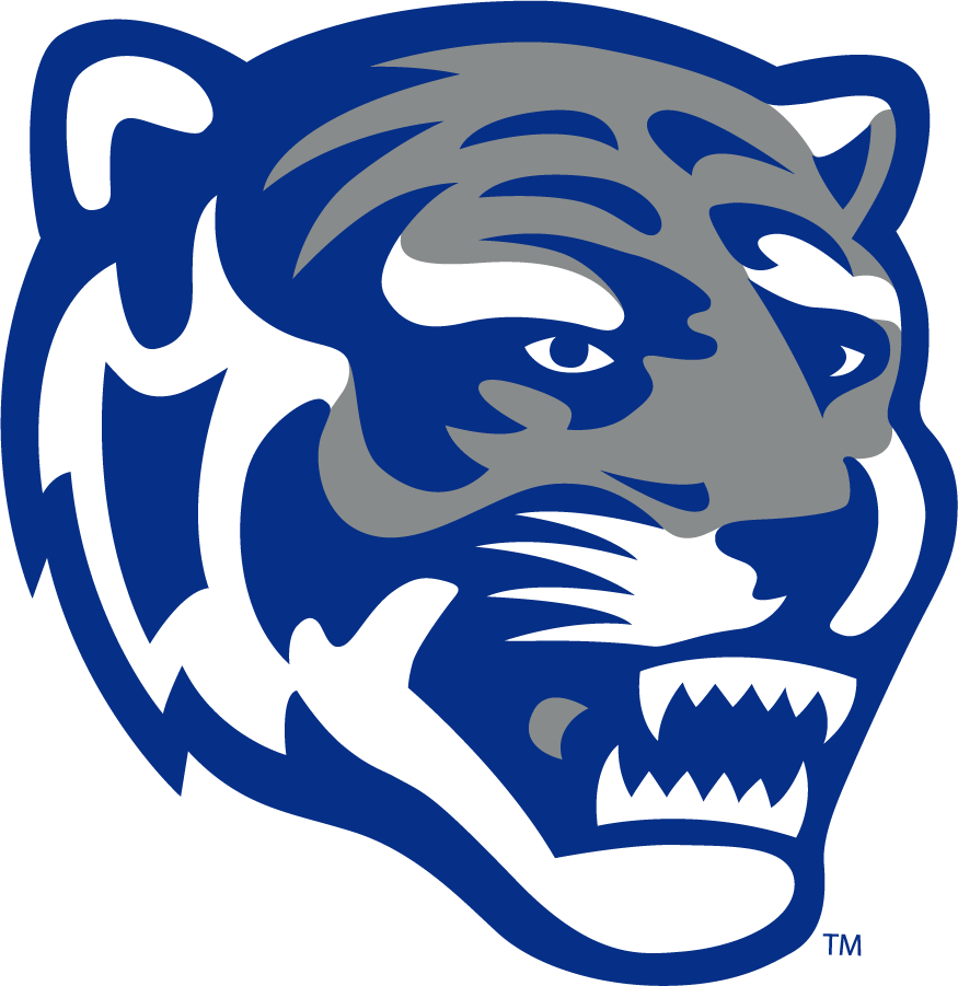 Memphis Tigers 2013-Pres Secondary Logo v5 iron on transfers for T-shirts